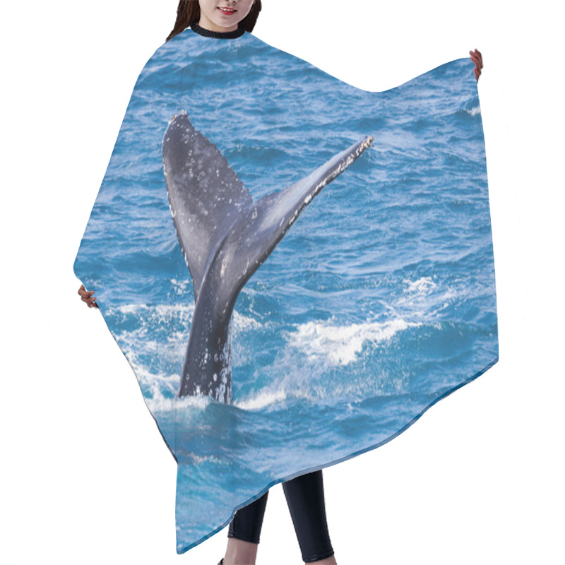 Personality  Beautiful Whale Hair Cutting Cape