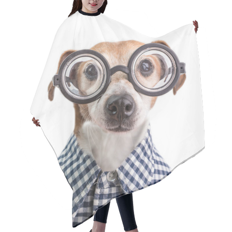 Personality  Funny Nerd Dog Portrait In Round Glasses And Checkered Shirt. White Background Hair Cutting Cape