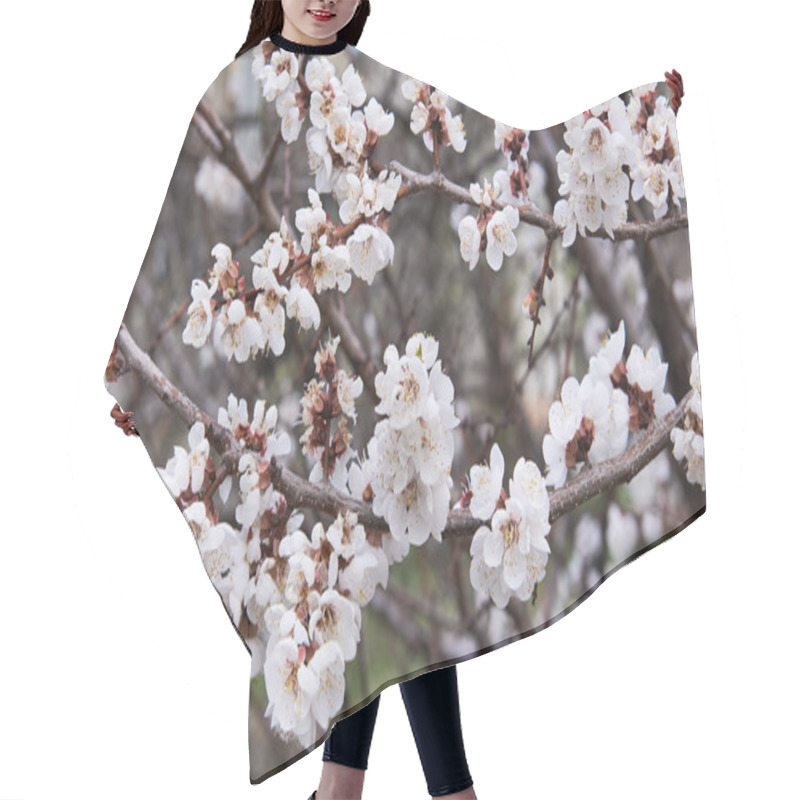 Personality  Apricot Blossoms Hair Cutting Cape