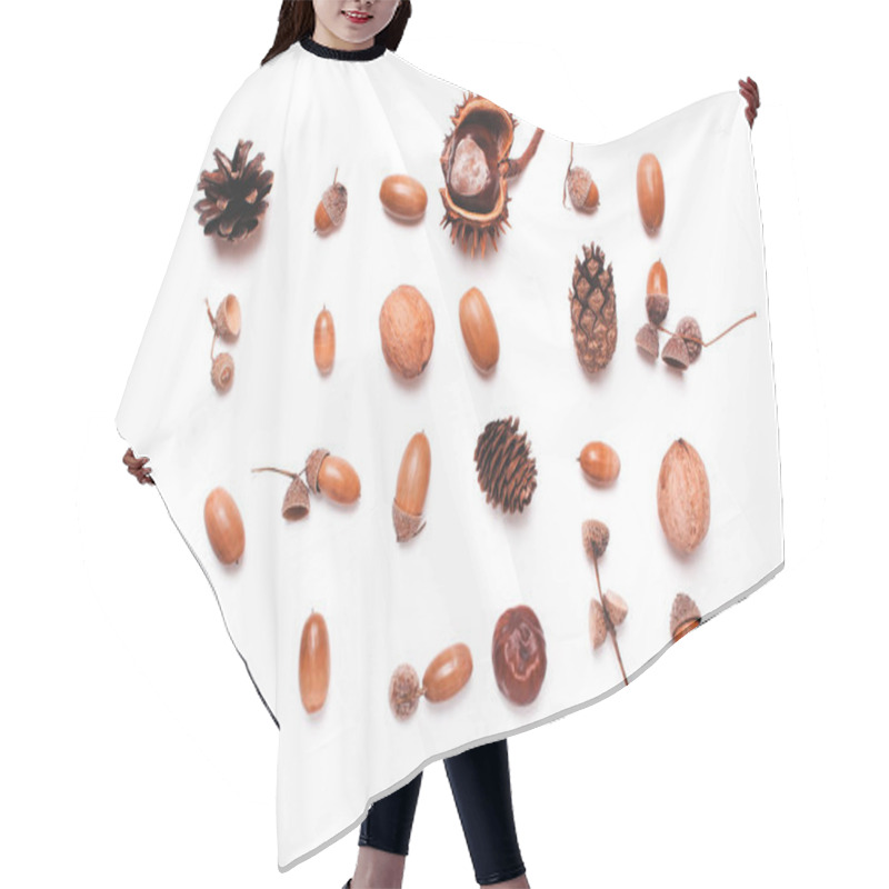 Personality  Composition Of Chestnut, Pine Cones, Acorns On A White Backgroun Hair Cutting Cape