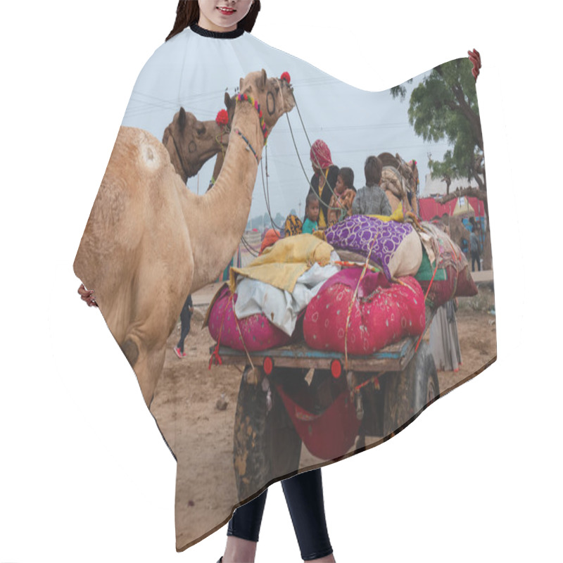 Personality  PUSHKAR, RAJASTHAN / INDIA - NOVEMBER 2019 : Young Indian Boy With Camel In Pushkar Fair Hair Cutting Cape