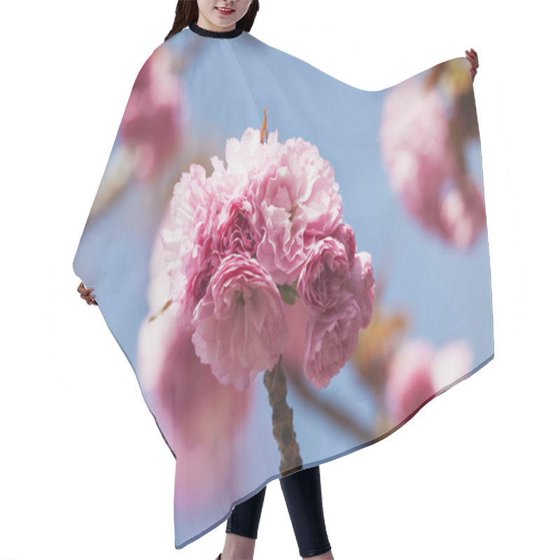 Personality  Pink Cherry Blossoms Hair Cutting Cape