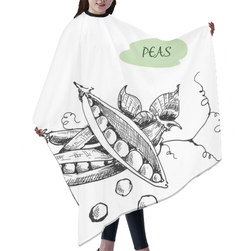 Personality  Peas. Hand Drawn Illustration Hair Cutting Cape