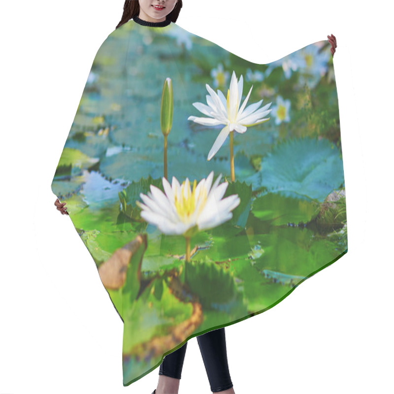 Personality  Beautiful White Water Lilies In Pond  Hair Cutting Cape