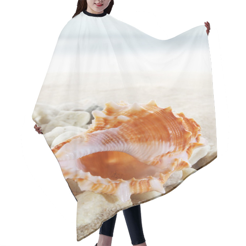 Personality  Seashells On The Beach Hair Cutting Cape