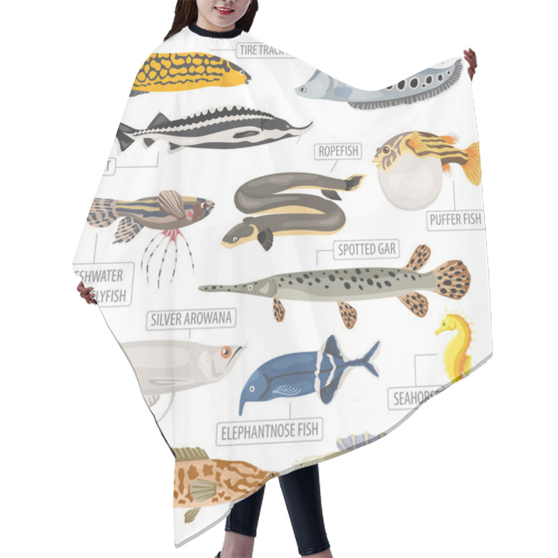 Personality  Unusual Freshwater Aquarium Fish Breeds Icon Set Flat Style Isol Hair Cutting Cape