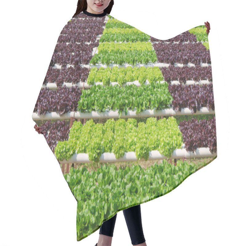 Personality  Organic Hydroponic Vegetable Cultivation Farm Hair Cutting Cape