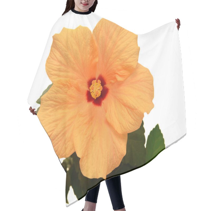 Personality  Orange Hibiscus Hair Cutting Cape