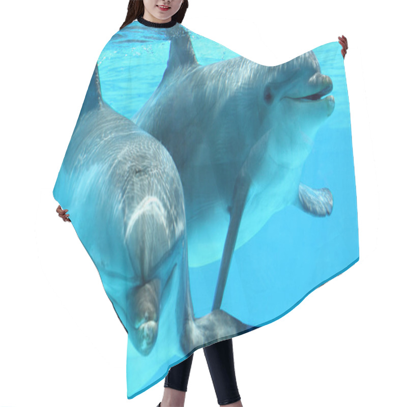 Personality  Couple Of Dolphins Swimming Hair Cutting Cape