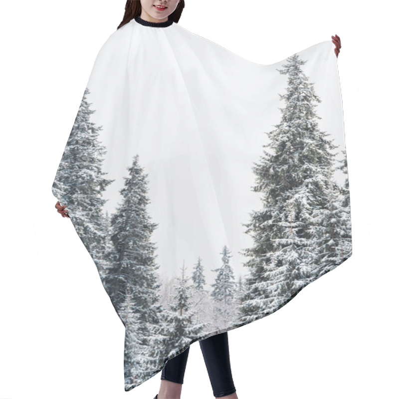 Personality  Scenic View Of Pine Forest With Tall Trees Covered With Snow Hair Cutting Cape