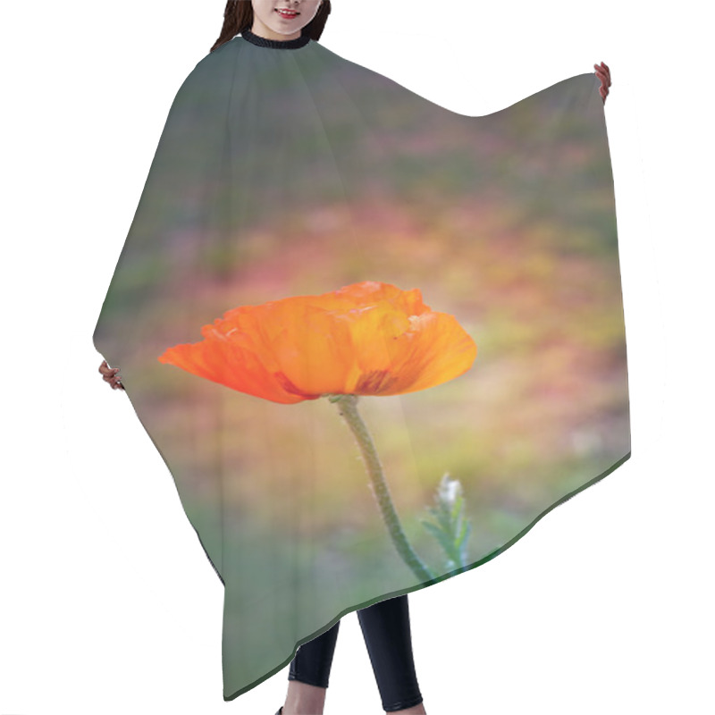 Personality  Beautiful Large Red Poppy   Hair Cutting Cape