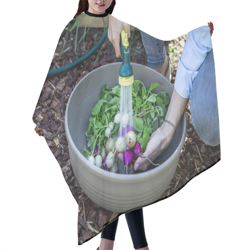 Personality  Woman Washing Fresh Organic Radishes In Bowl At Garden  Hair Cutting Cape