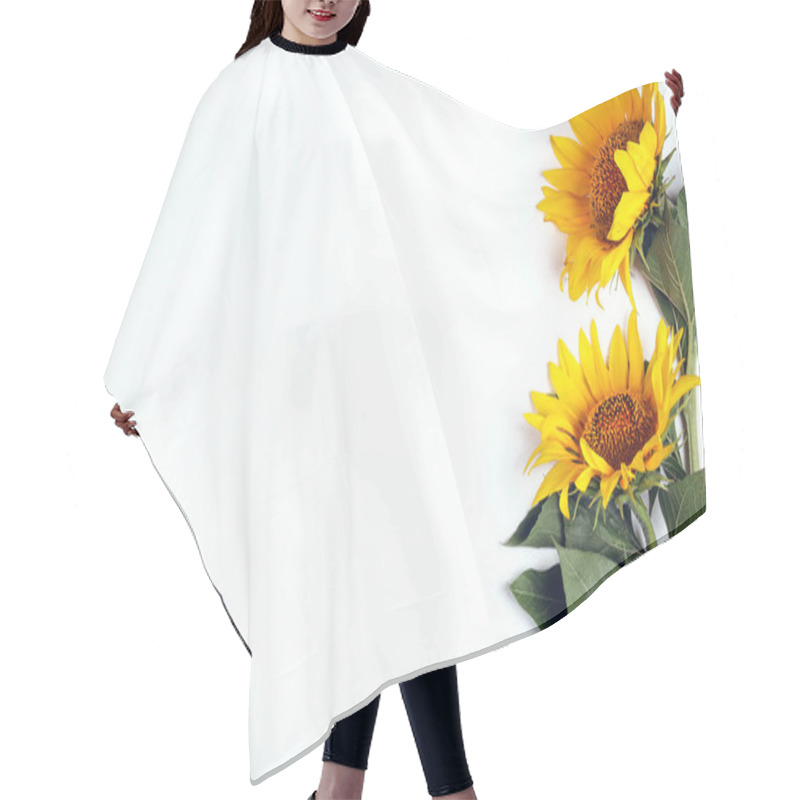 Personality  Sunflowers Border On White Wall. Copy Space For Text. View From Above.  Hair Cutting Cape