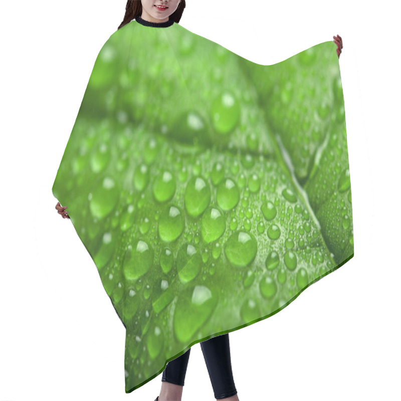 Personality  Fresh Green Leaf With Water Droplets Hair Cutting Cape