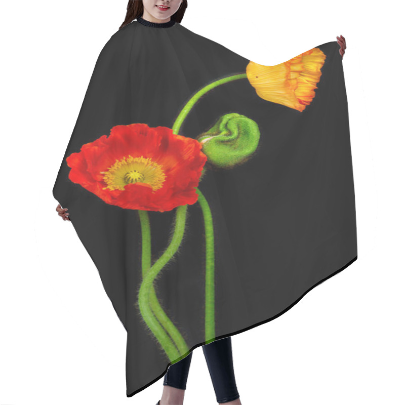 Personality  Red Poppies Hair Cutting Cape