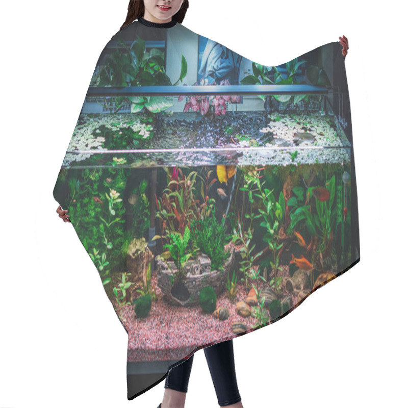 Personality  A Great Jungle Planted Aquarium Hair Cutting Cape