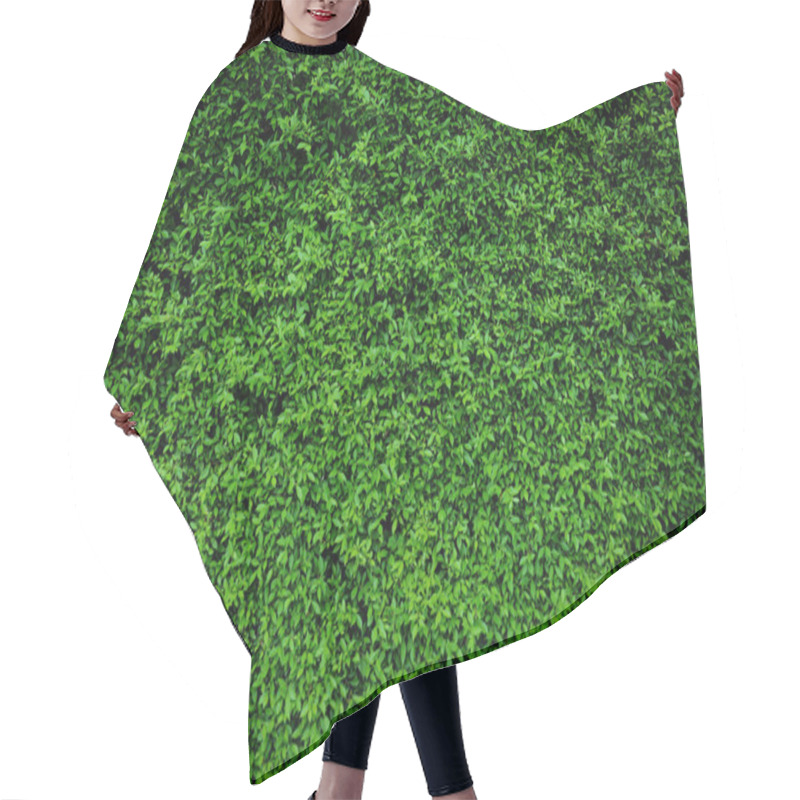 Personality  Green Leaves Natural Wall. Hair Cutting Cape