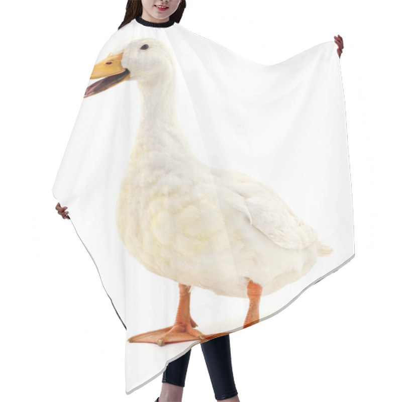 Personality  Duck On White. Hair Cutting Cape