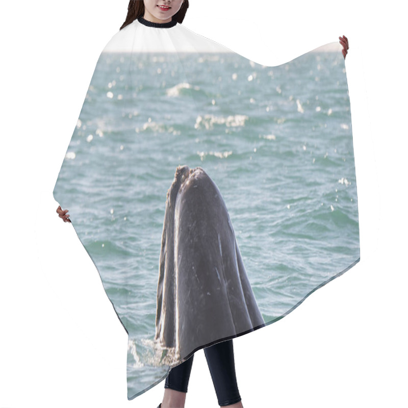 Personality  Beautiful Whale In The Ocean Hair Cutting Cape