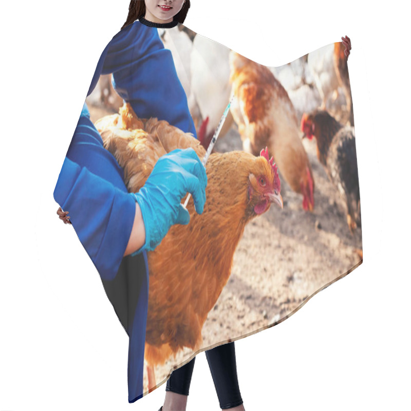 Personality  Female Veterinarian In Blue Gloves And Uniform Makes Injection Of Chickens, Vaccination, Chicken Flu. Veterinary Medicine. Hair Cutting Cape