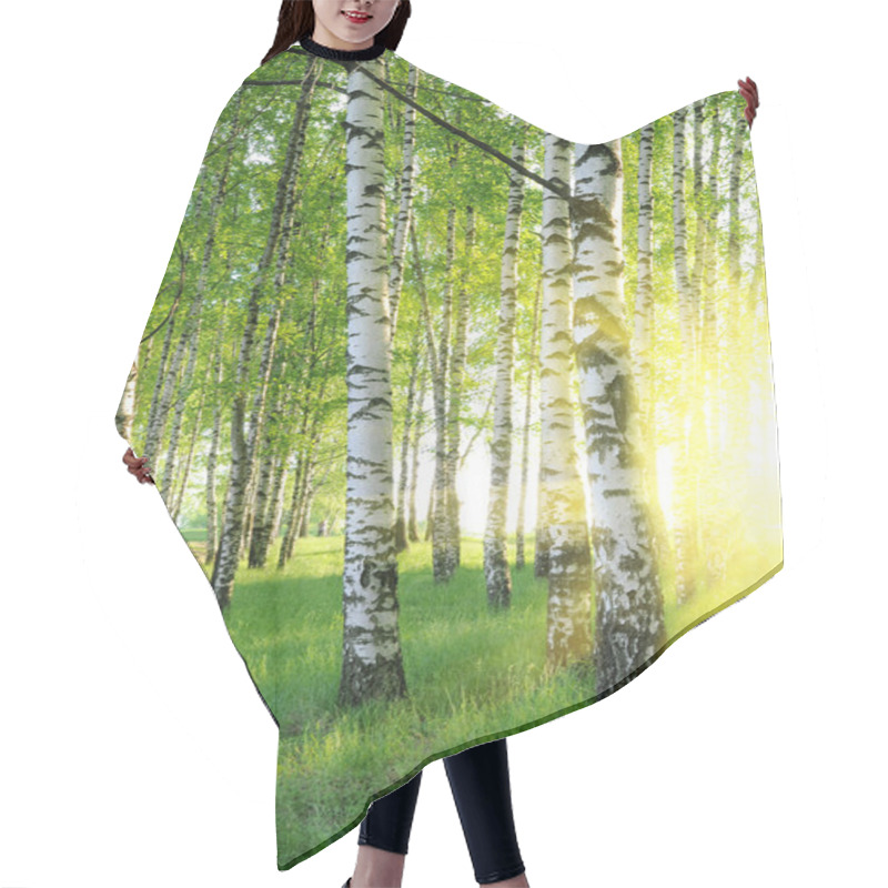 Personality  Birch Trees Hair Cutting Cape