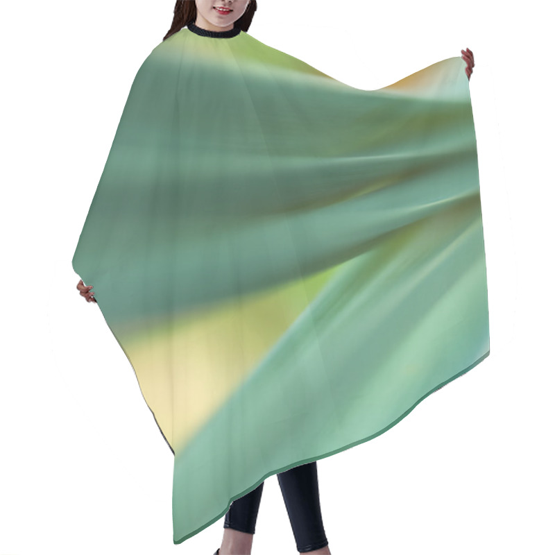 Personality  Abstract Plant Close Up Shot Hair Cutting Cape