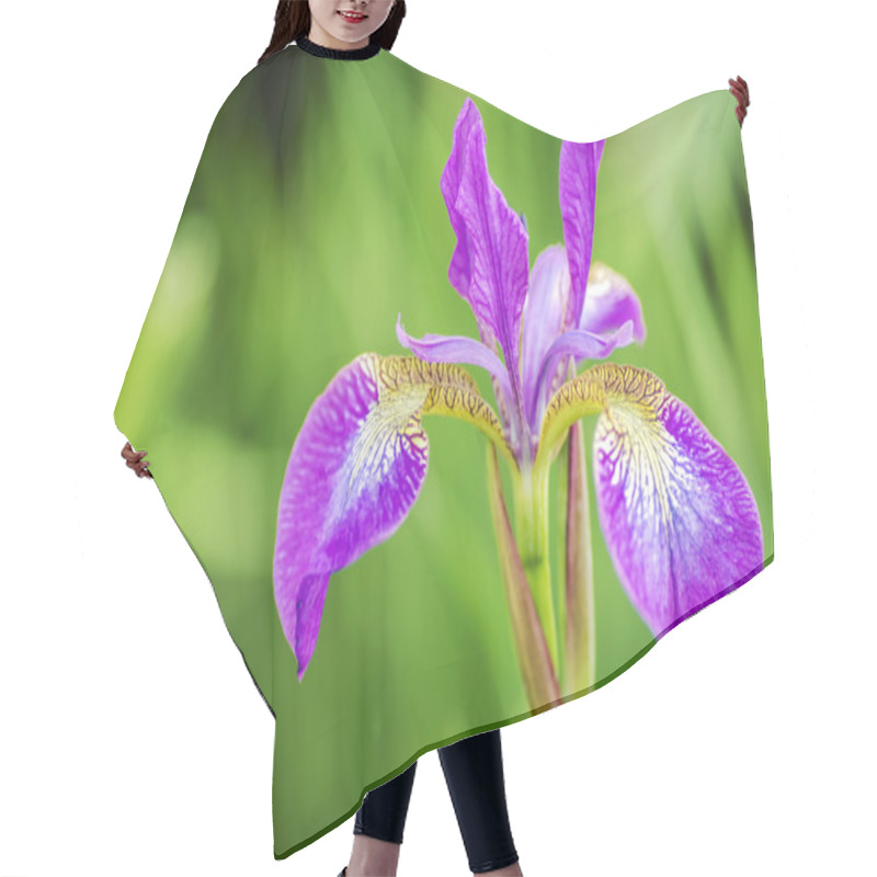 Personality  Poetic Purple Flower Hair Cutting Cape