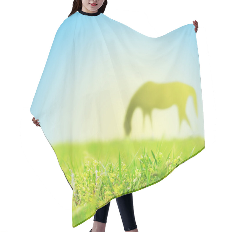 Personality  Horse Grazing On Spring Pasture Hair Cutting Cape