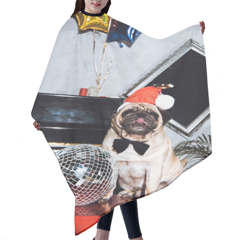 Personality  Pug Santa Hair Cutting Cape