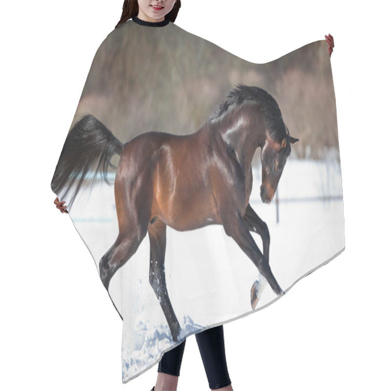 Personality  Brown Horse Running In The Snow Hair Cutting Cape