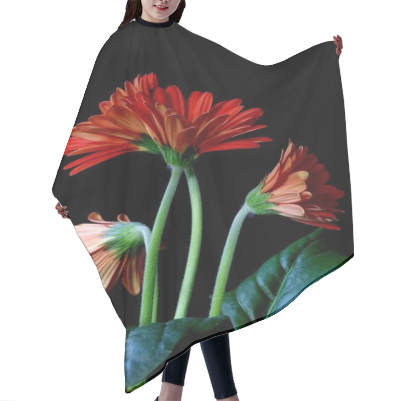 Personality  Gerbera Summer Flower, Floral Petals Hair Cutting Cape