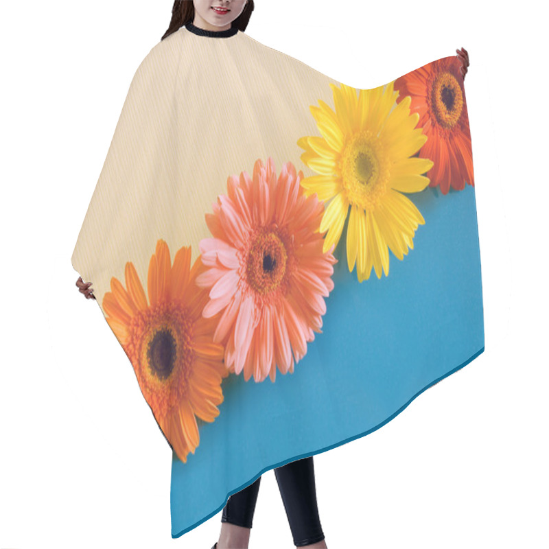 Personality  Five Bright Colours On A Diagonal Hair Cutting Cape