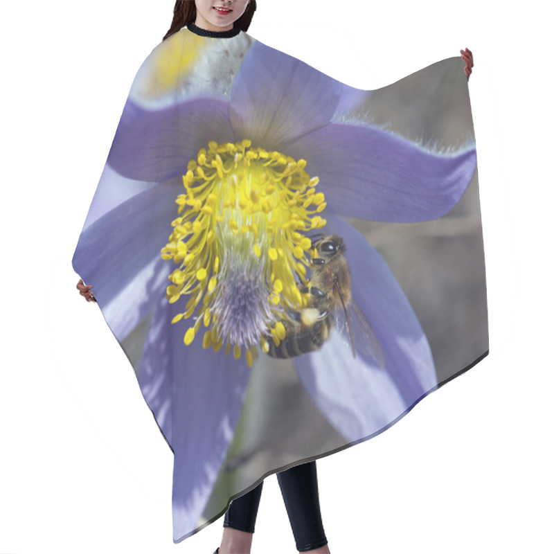 Personality  Bee Pollinate Pulsatilla Flower Hair Cutting Cape