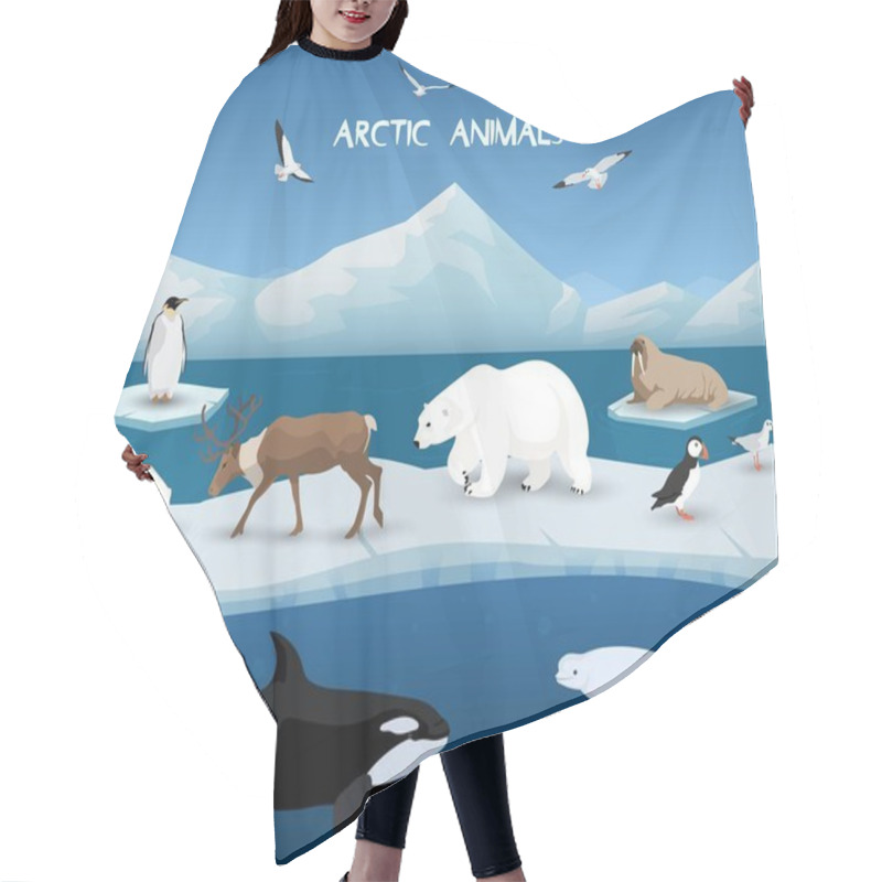 Personality  Arctic Animals Character And Background, Winter, Nature Travel And Wildlife Hair Cutting Cape