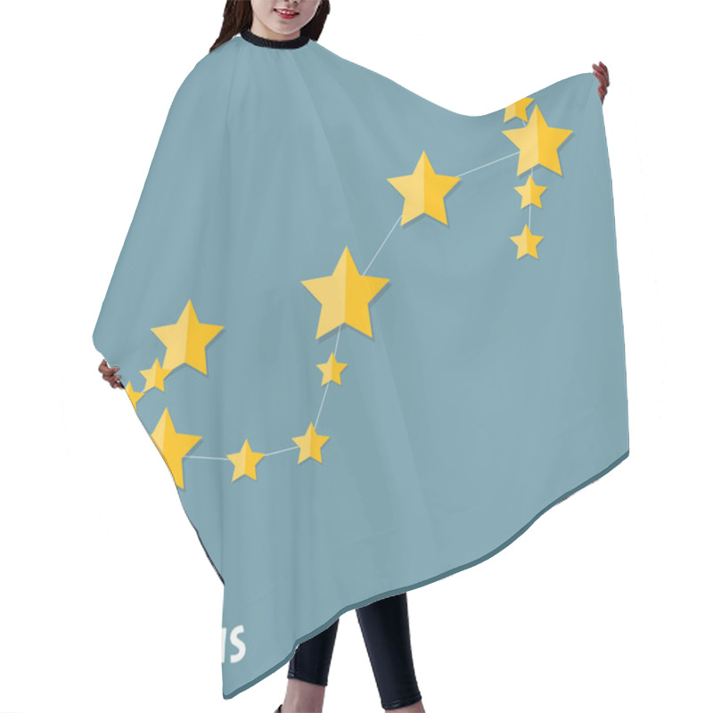 Personality  Scorpius Zodiac Sign Of The Beautiful Bright Stars Vector Illust Hair Cutting Cape