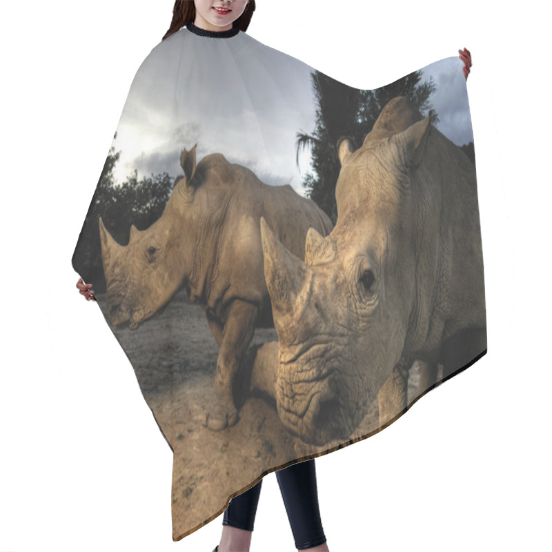 Personality  White Rhinoceros Hair Cutting Cape