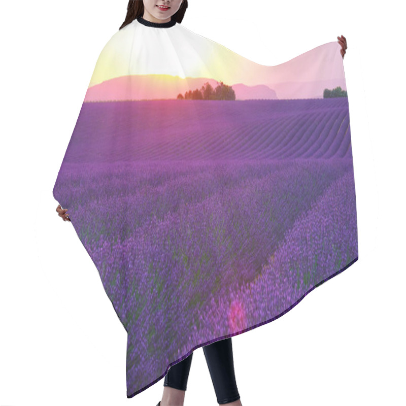 Personality  LENS FLARE: Evening Sun Sets Behind The Hills And Shines On Fields Of Lavender. Hair Cutting Cape