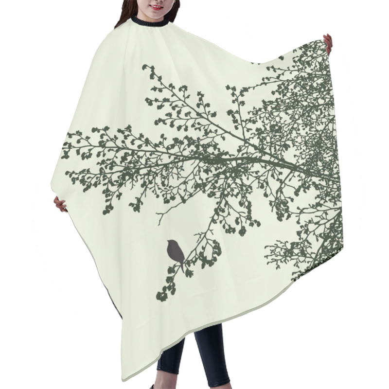 Personality  Silhouette Of Blossoming Branches Of Linden Tree In Spring Time Hair Cutting Cape