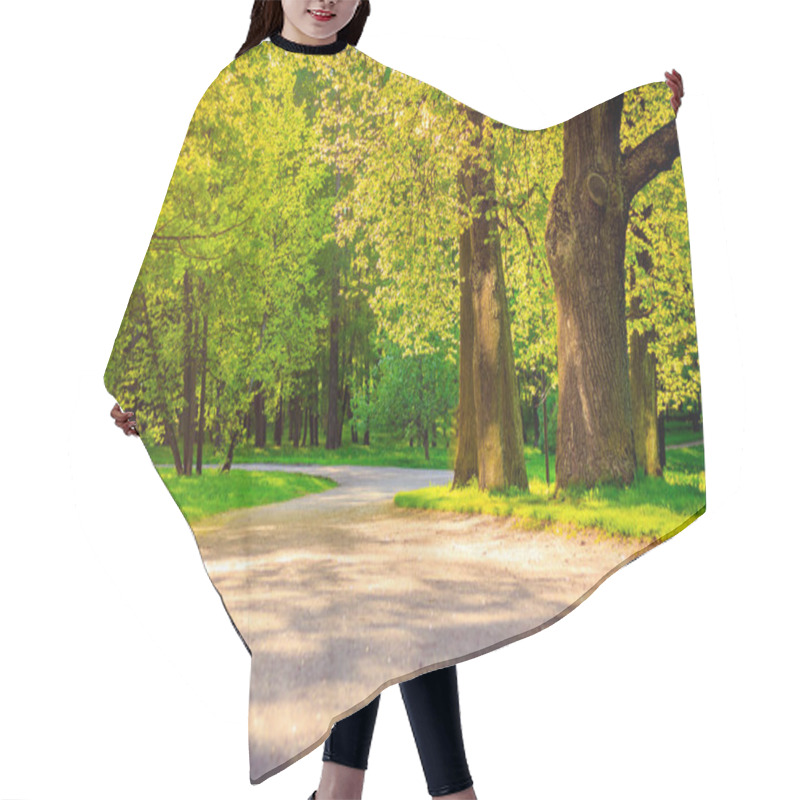 Personality  Summer Evening Sunny Park Hair Cutting Cape