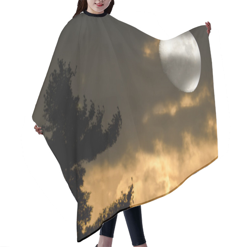 Personality  Moon Mystic Night Hair Cutting Cape