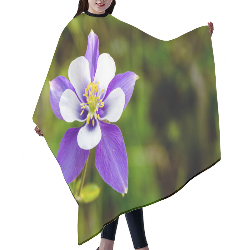 Personality  Blooming Blue Columbine Flowers Hair Cutting Cape