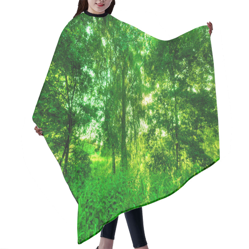 Personality  Green Summer Park. Hair Cutting Cape