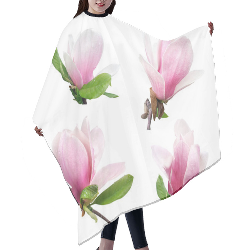 Personality  Pink Magnolia Flowers Isolated On White Background Hair Cutting Cape