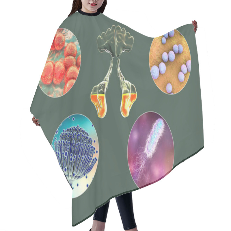 Personality  Anatomy Of Rhinosinusitis And Microorganisms That Cause Sinusitis Streptococcus Pneumoniae, Streptococcus Mutans, Aspergillus Fumigatus, And Pseudomonas Aeruginosa, 3D Illustration Hair Cutting Cape