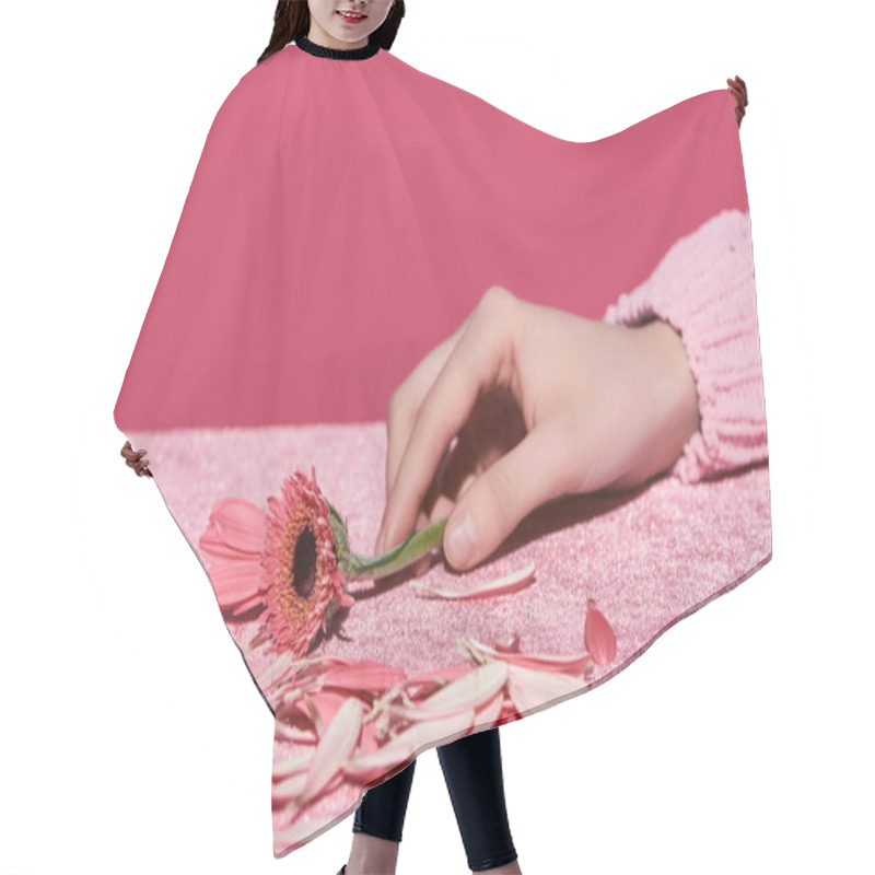 Personality  Cropped View Of Woman Holding Gerbera Near Petals On Velour Cloth Isolated On Pink, Girlish Concept  Hair Cutting Cape