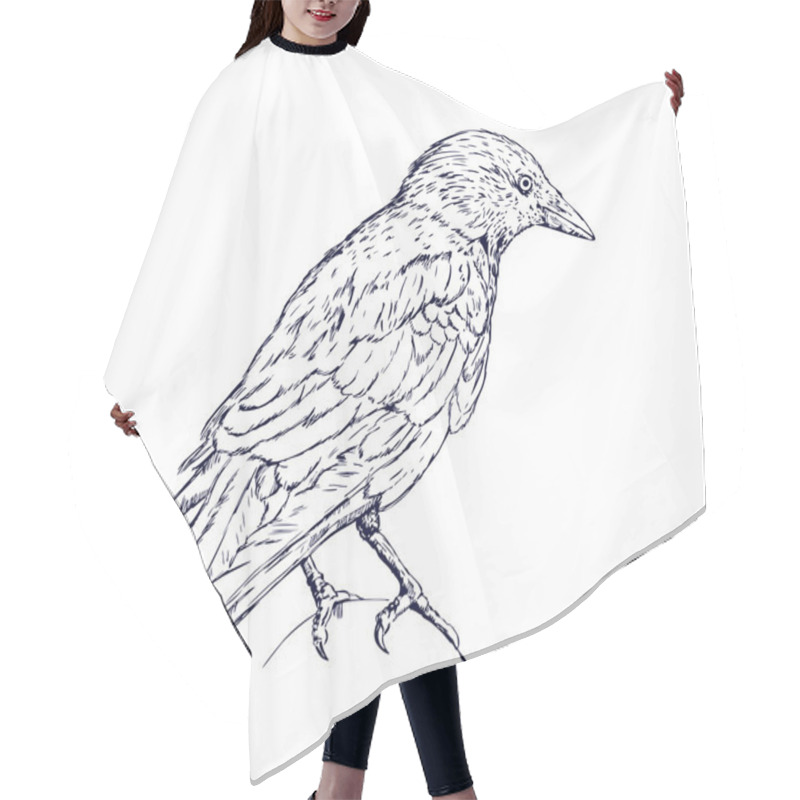 Personality  Crow Sketch Hair Cutting Cape