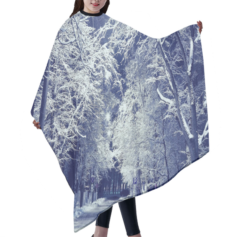 Personality  Night Landscape In Winter City Hair Cutting Cape