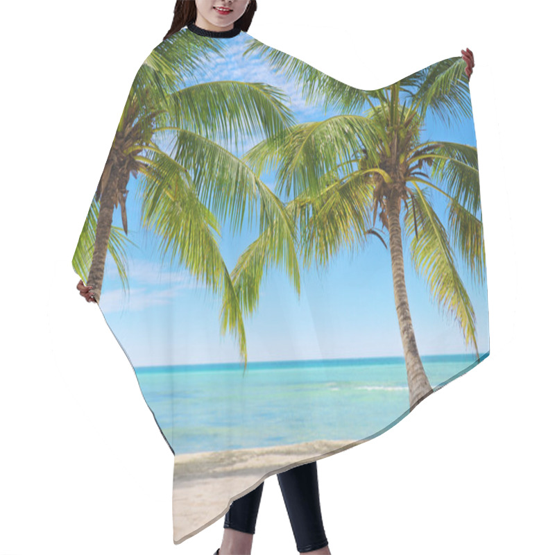 Personality  Palm Trees On The Background Of A Beautiful Carribean Sea Hair Cutting Cape