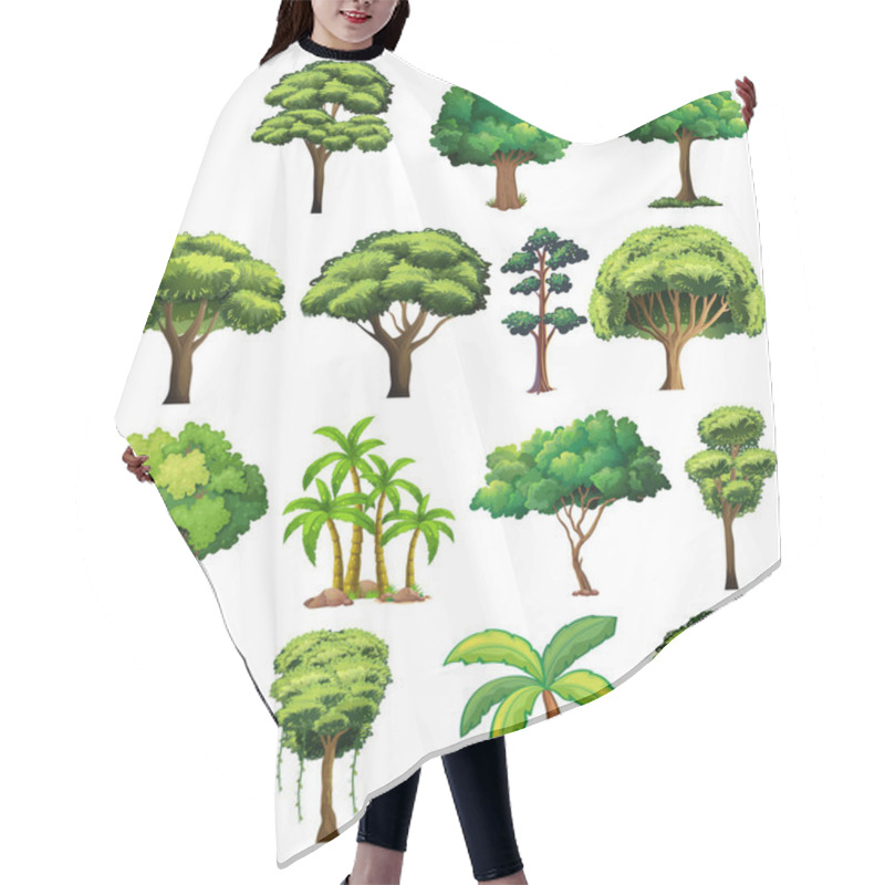 Personality  Set Of Variety Plants And Trees Illustration Hair Cutting Cape