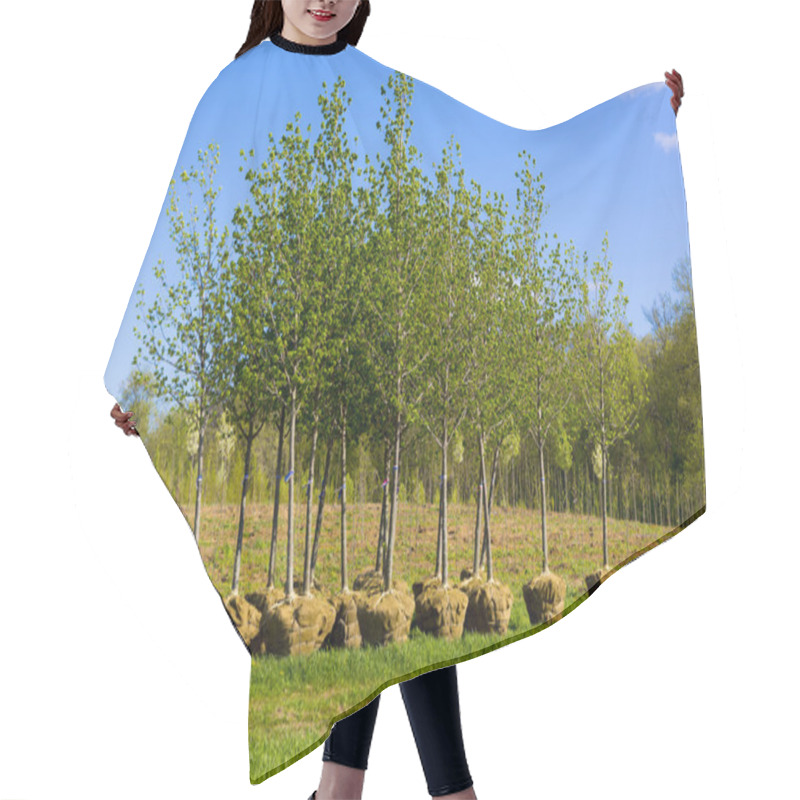 Personality  Planting Trees Hair Cutting Cape